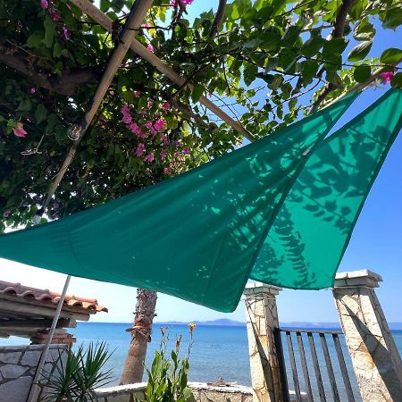 Villa Rena In Front Of The Sea Αρκούδι Εξωτερικό φωτογραφία