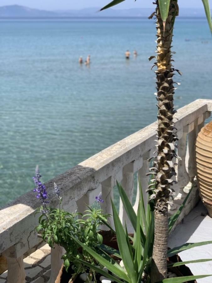 Villa Rena In Front Of The Sea Αρκούδι Εξωτερικό φωτογραφία